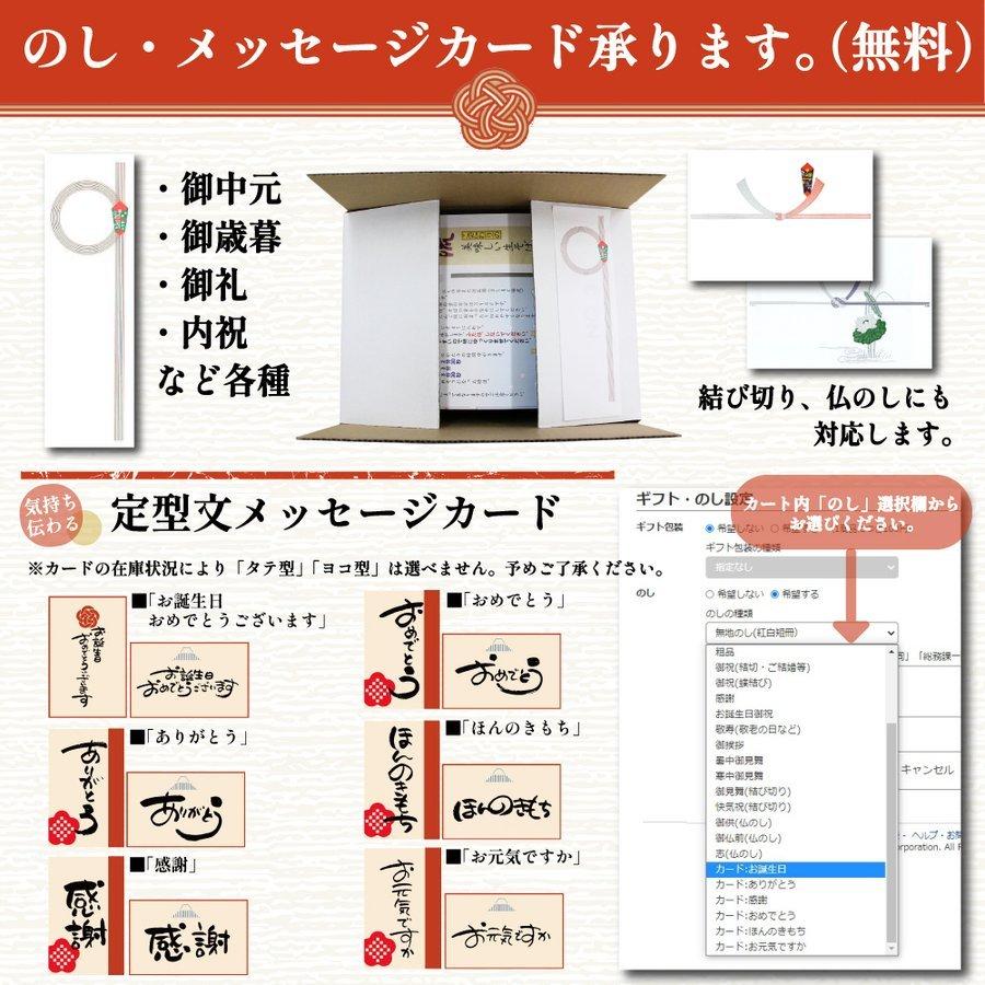 出雲そば 奥出雲本生そば20人前 詰合せギフト そばギフト つゆ付き 敬老の日 お取り寄せ グルメ