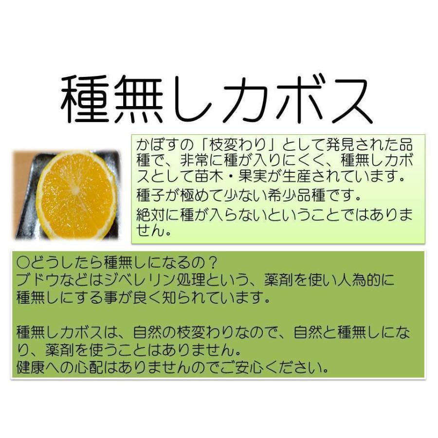 種無しカボス 大分県産 農薬不使用 種無しかぼす　3キロ