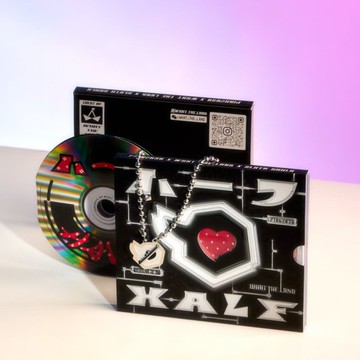 Love Messenger Necklace 項鍊