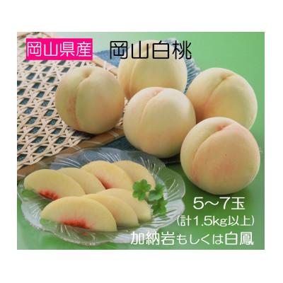 ふるさと納税 総社市 ◆先行受付◆　岡山県産　岡山白桃(1)　5〜7玉　1.5kg以上　2024年発送