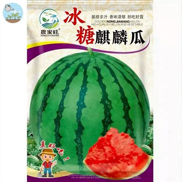 【原廠包裝】麒麟西瓜種子（Kylin Watermelon）50粒裝正宗大玉西瓜 台灣瓜農推薦 皮薄多汁高甜度 家庭菜園