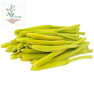 青禾園藝（金針菜種子） 一年四季播南北食用黃花菜種子天然菜野菜種子~農家高產蔬菜種子#台灣自留種