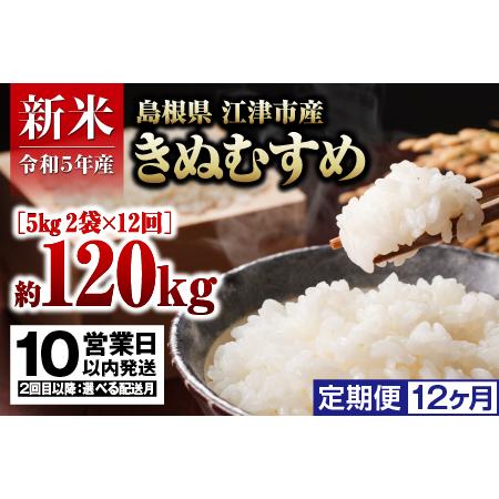 ふるさと納税  島根県 江津市産 邑智郡産 きぬむすめ 10kg×12回令和5年産 新米 白米 島根県江津市