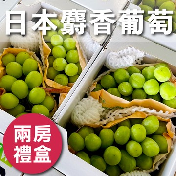 【水果狼】 日本空運麝香葡萄 兩房禮盒 600g/房 水果禮盒