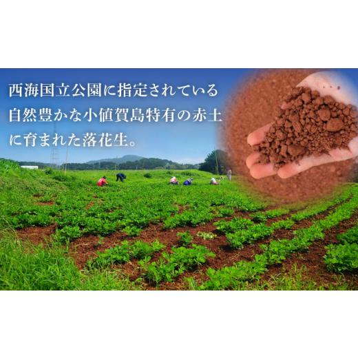 ふるさと納税 長崎県 小値賀町 むき身 落花生 40g × 80袋 《小値賀町担い手公社》 落花生 ピーナッツ おつまみ 常温 [DAA038]