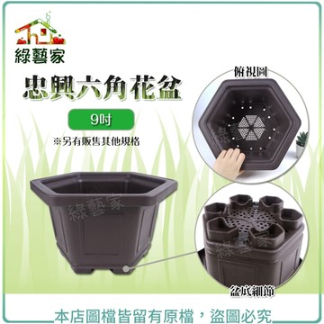【綠藝家】忠興六角花盆 9吋(加厚材質)