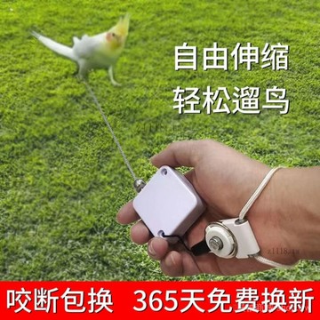 🎇可開發票✨正宗鸚鵡外齣牽引繩自動伸縮腳環放飛繩不傷腳外齣飛行遛鳥神器#免運