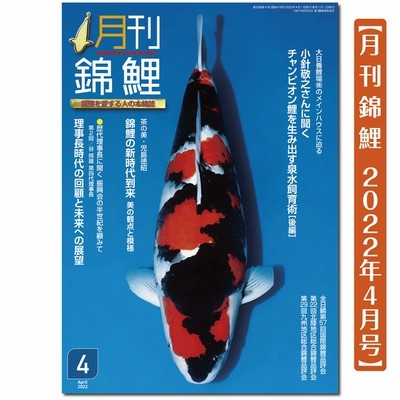みだらな熱帯魚 １ 通販 Lineポイント最大get Lineショッピング