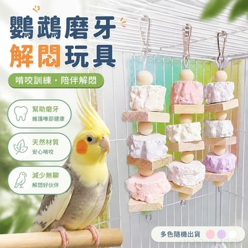 寵物用品 鸚鵡解悶玩具鸚鵡啃咬訓練磨牙解悶牡丹玄鳳鸚鵡陪伴墨魚骨玩具用品磨嘴補鈣 鸚鵡玩具 toy 鳥玩具 墨魚骨 鸚鵡