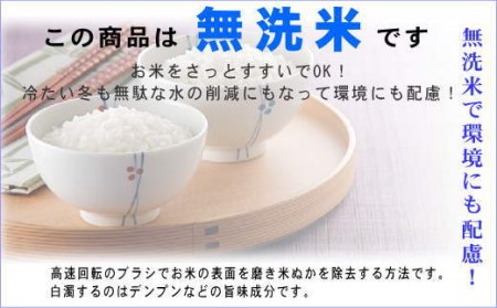   田村市産 ひとめぼれ20㎏(5㎏×4袋) ギフト 贅沢 のし対応 １週間以内発送 福島 ふくしま 田村 贈答 美味しい 米 kome コメ ご飯  ブランド米  精米したて お米マイスター 匠 食味鑑定士 安藤米穀店