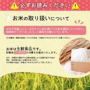 ふるさと納税 ■2024年1月下旬発送■新米 20kg(5kg×4袋) 「清流寒河江川育ち 山形産はえぬき」 2023年産　029-C-JA011-01下 山形県寒河江市