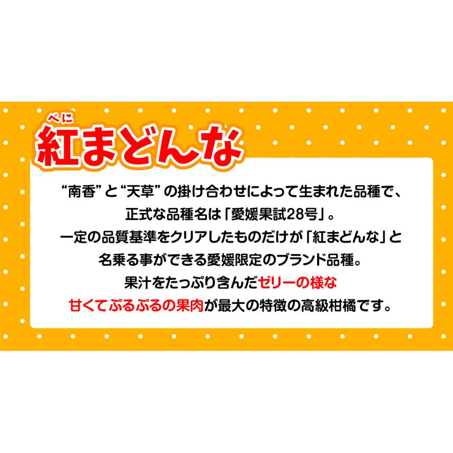 みかん 5kg 愛媛産 紅まどんな ご家庭用 柑橘 蜜柑 送料無料 食品