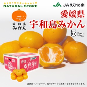 [予約 2023年 12月15日頃から発送] 宇和島SML 約5kg 愛媛県 産地箱 レギュラー デイリー早生 南柑20号 ミカン 上級品 冬ギフト お歳暮 御