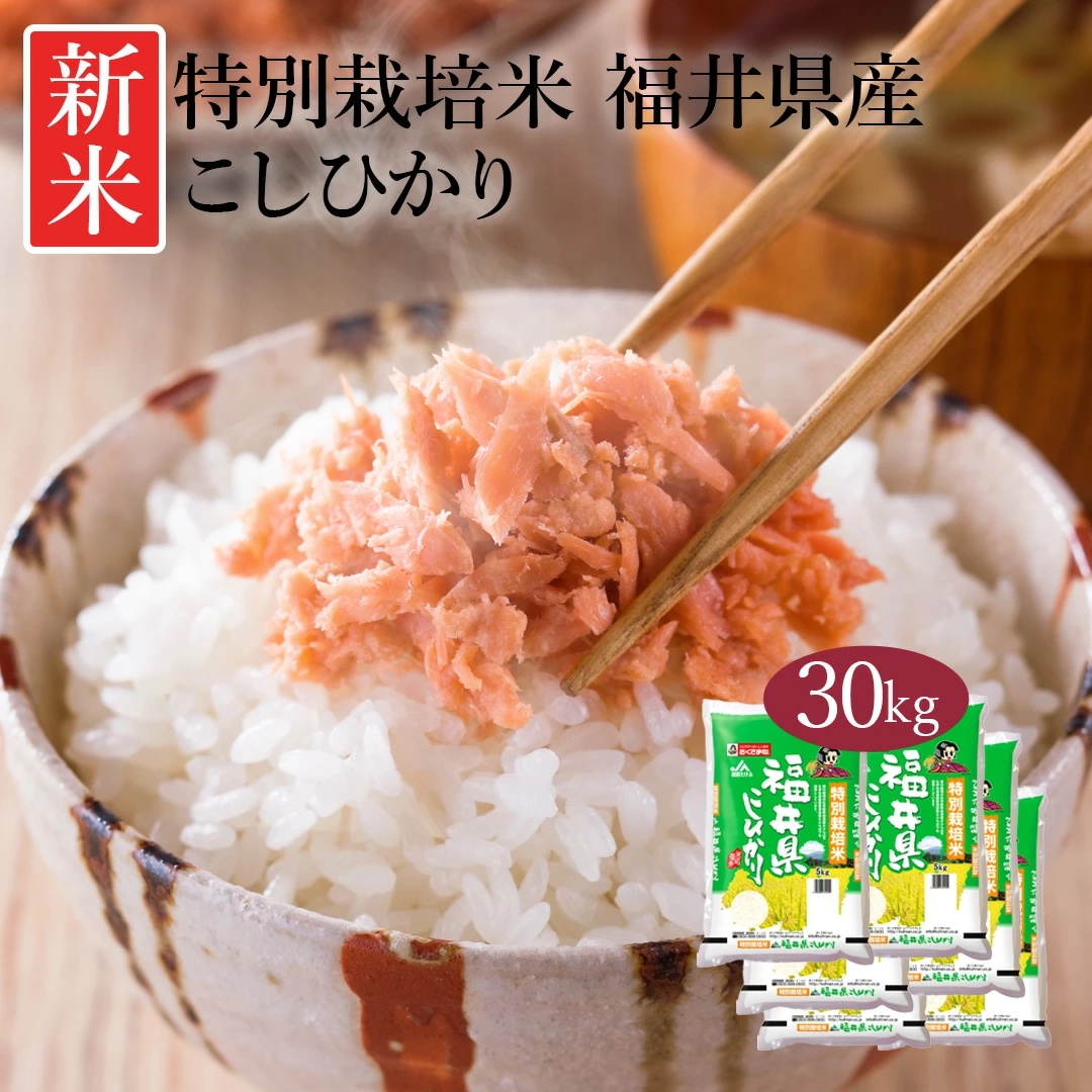 米 福井県産 特別栽培米 こしひかり 30kg 5kg 6セット 令和5年産 新米 お米 こめ 30キロ 安い おこめ 白米 国産 食品 ギフト 引っ越し 内祝い お中元 お歳暮 送料無料 おくさま印