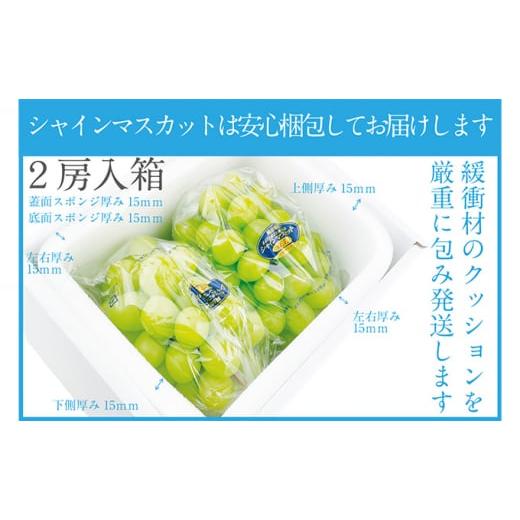 ふるさと納税 岡山県 岡山市 ぶどう 2024年 先行予約 シャイン マスカット 晴王 2房（合計約1.1kg） 晴れの国 おかやま 岡山県産 フルーツ王国 果物王国 [No.5…