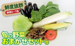 鮮度抜群！こだわりの旬の野菜おまかせセット(小)（野菜６～７品）