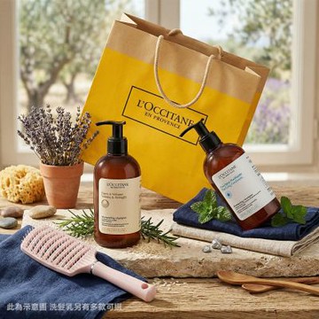 L OCCITANE 歐舒丹 經典草本洗髮乳500mlX2送蓬鬆按摩梳-多款可選-公司貨