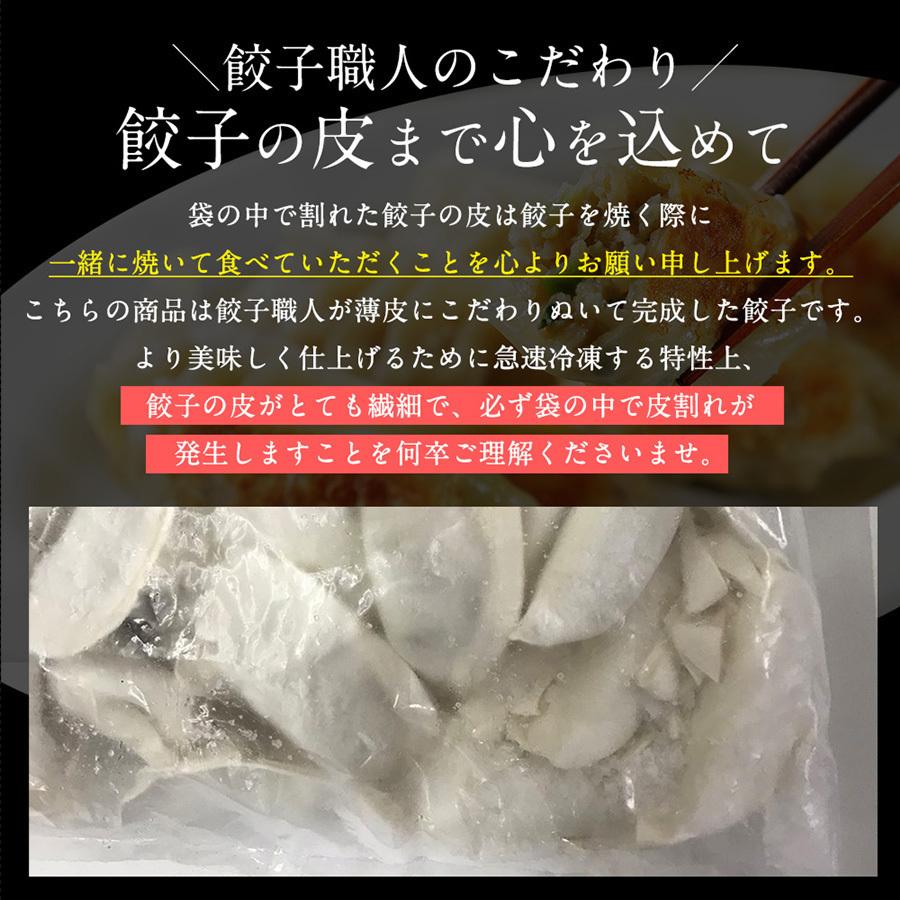 餃子 取り寄せ 送料無料 業務用 冷凍 生餃子 国産素材 時短 お手軽 簡単 大容量 餃子計画 業務用の特製生餃子 200個袋入