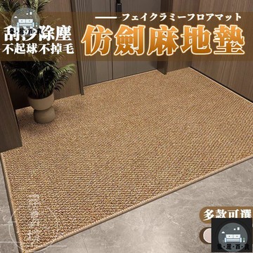 工廠現貨 可開發票 【仿劍麻入戶地墊 支持訂製】菠蘿圈地毯 可剪裁 加厚玄關地墊 異形 入戶地墊門口地毯 日式耐賍防滑地毯 防貓抓地墊 全館折扣 售後保障 可開發票 年底鉅惠 m