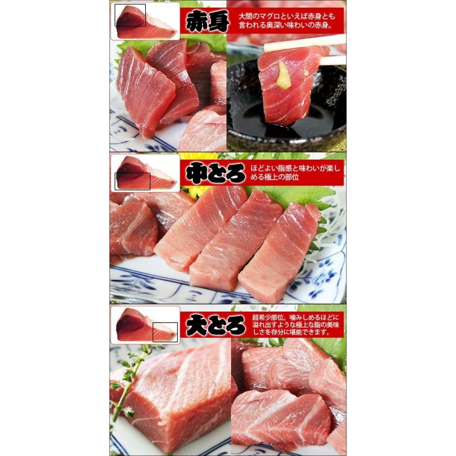 送料無料 青森県産 大間 本マグロ 3種セット（大トロ・中トロ・赤身） 600ｇ前後（各200g前後）