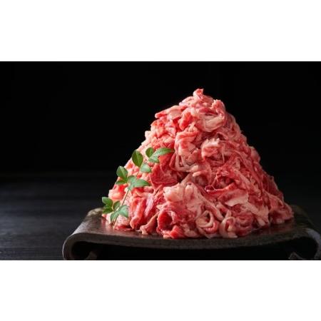 ふるさと納税 限定 牛肉 A4〜A5 博多 和牛 切落とし 合計1000g（500g×2p）計1kg 肩ロース 赤身 バラ カルビ 配送不可：離島 福岡県朝倉市