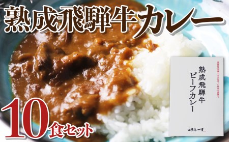 熟成飛騨牛カレー　１０食セット［D0034］