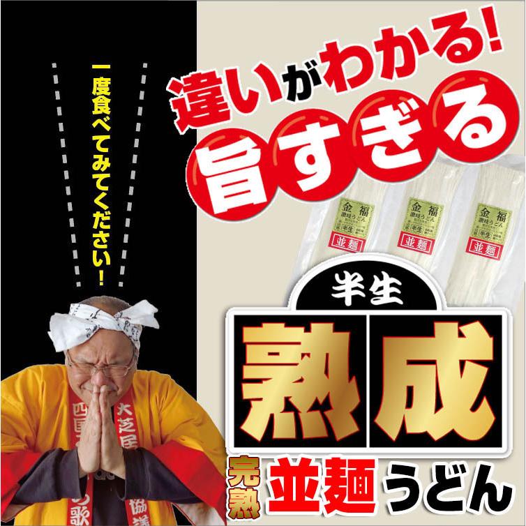 20時間熟成  半生 並麺 讃岐うどん つゆ付きセット 便利な個包装 750g 送料無料 最安値挑戦 得トクセール 特産品