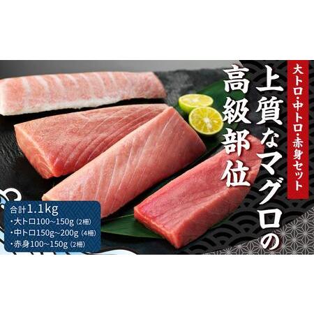 ふるさと納税 本マグロセット 計1.1kg（大トロ・中トロ・赤身） 長崎県