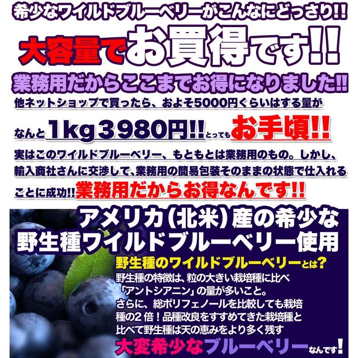 ワイルドブルーベリー 野生種 アメリカ産 ドライフルーツ 軽減税率 消費税8%