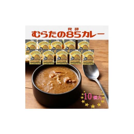 ふるさと納税 宮城県 村田町 むらた85(発酵)カレーセット(200g×10個)