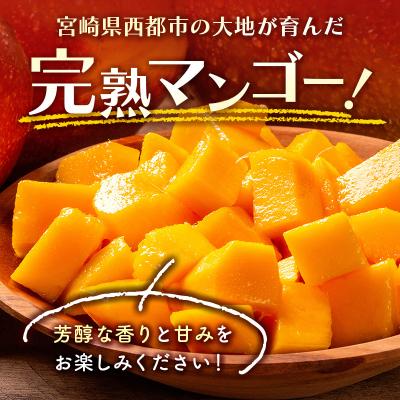 ふるさと納税 西都市 西都市特産品　訳あり完熟マンゴー2kg[2207]