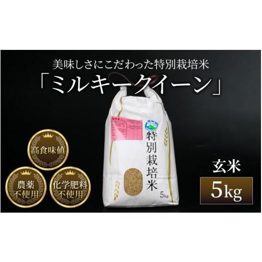 ふるさと納税 福井県 あわら市 令和5年産新米 ミルキークイーン 玄米 5kg 特別栽培米 農薬不使用 化学肥料不使用 ／ 高品質 鮮度抜群 福井県産 ブランド米 自…