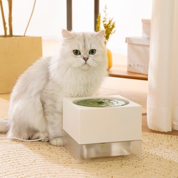 寵物通用唱片飲水機貓咪自動循環流動喝水折耳水碗水盆喂水器用品