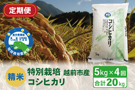 〈先行予約〉（令和5年度新米 精米）特別栽培 越前市産コシヒカリ 5kg×4回