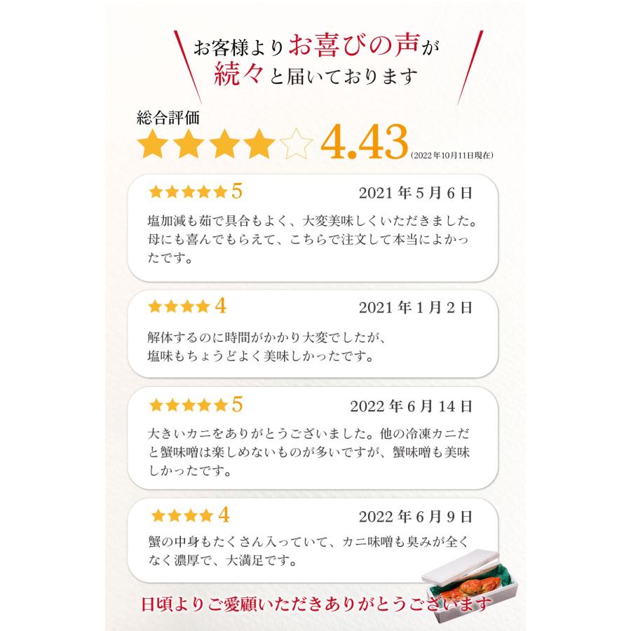 本ズワイガニ 姿 650g 3尾セット 特大 ズワイ蟹 ずわいがに ずわい蟹 カニ かに 海鮮 ギフト 札幌中央卸売市場 グルメ お歳暮 御歳暮 クリスマス