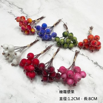 beagle - 糖霜漿果 果實 乾燥花材 花圈花束 花禮頭花 手腕花捧花 拍照道具 居家佈置 手作