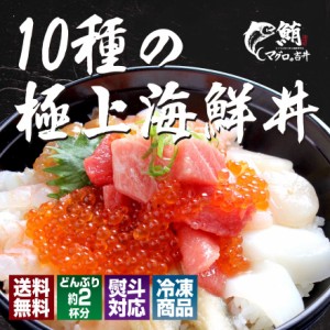 お歳暮 ギフト プレゼント 10種海鮮丼 海鮮セット 海鮮福袋 手巻き ご飯のお供 食べ物 おつまみ 誕生日 女性 男性  海鮮 ギフト 御祝 お