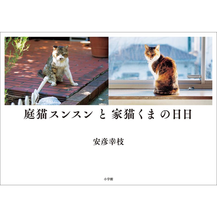 庭猫スンスンと家猫くまの日日 安彦幸枝