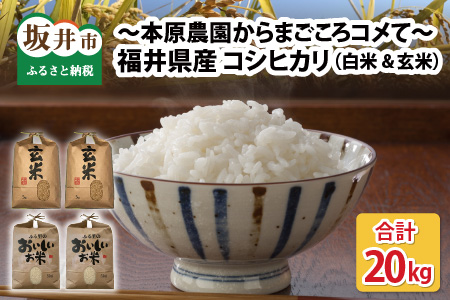 福井県産 コシヒカリ20kg ～本原農園からまごころコメて～ [B-8941_03]