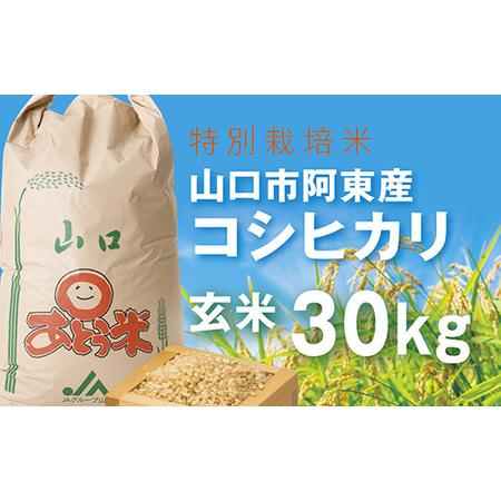 ふるさと納税 C-013 特別栽培米阿東産コシヒカリ玄米30kg 山口県山口市