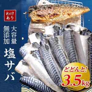 ふるさと納税 勝浦市の人気の海鮮お礼品 無添加 塩サバ 3kg 千葉県勝浦市