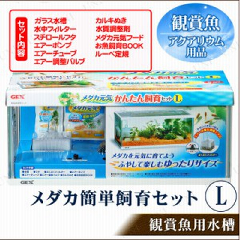 メダカ元気 かんたん飼育セット L メダカ 水槽 アクアリウム用品 ペット用品 ペットグッズ 通販 Lineポイント最大1 0 Get Lineショッピング