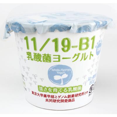 ふるさと納税 本宮市 11 19-B1乳酸菌ヨーグルト2箱(1箱8個入り)