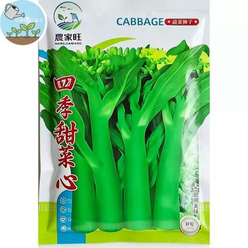 【原廠包裝】四九菜心種子 台灣適種 快收蔬菜 家庭菜園 陽台盆栽 新手友善 免搭架 約30天收成 煮湯快炒都好吃