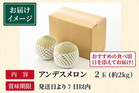 アンデスメロン 2玉 （約1.2kg以上×2玉）青肉品種 安定の旨さ！大衆メロンの王様！ ／ 果物 フルーツ ギフト 農家直送 ※2024年6月下旬以降順次発送