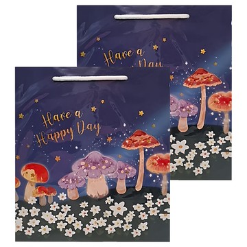 德德小品集 禮品袋-夜光幻境M  2入