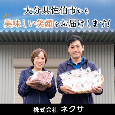 ふるさと納税 佐伯市 佐伯市産本マグロ 中トロ・赤身 食べ比べ(合計約400g・中トロ200g・赤身200g)