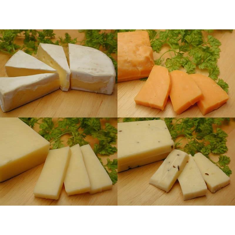 おおともチーズ工房のナチュラルチーズ人気４種セット（カマンベール、ミモレット,、レクタン、キャラウェイ）