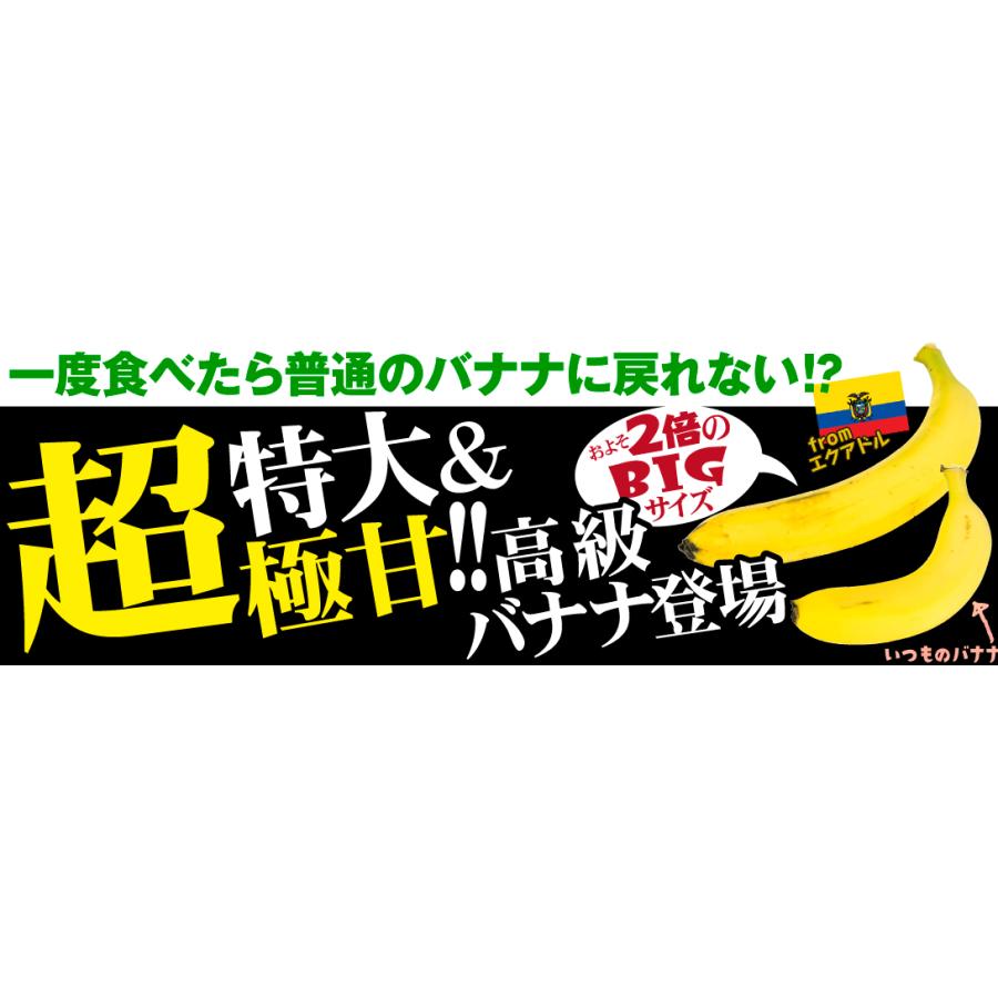 バナナ 1房 エクアドル産 特大バナナ ご家庭用 ハンドバナナ 約2〜3kg前後  送料無料 食品