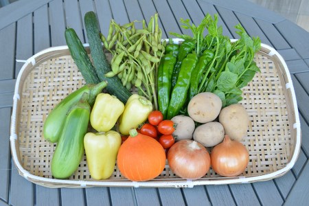 季節の旬野菜セット 6～10品種 詰め合わせ 産地直送   雲仙つむら農園   長崎県雲仙市